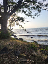 Weave by the Lake with Okapu